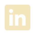 linkedin icon